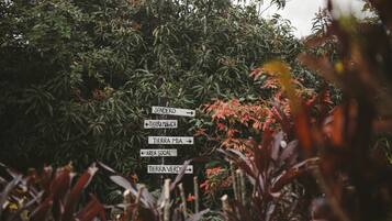 A directional signpost surrounded by dense foliage.