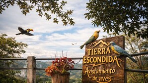 A wooden sign with 'TIERRA ESCONDIDA Avistamiento de aves' written on it, surrounded by potted plants and birds. - San PEREGRINO (Manizales)