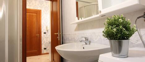 Shower, hair dryer, bidet, towels