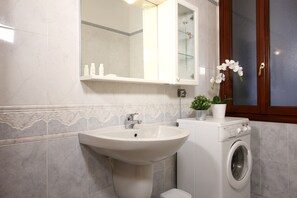 Shower, hair dryer, bidet, towels