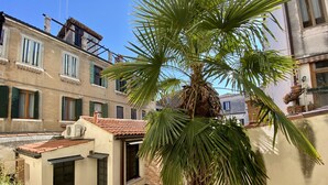 Un pati amb una palmera, una taula petita i un edifici amb teulada d'rajola.