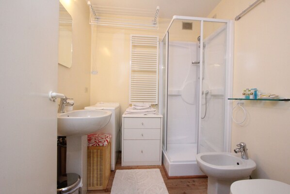 Shower, hair dryer, bidet, towels