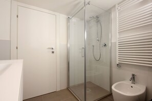 Shower, hair dryer, bidet, towels