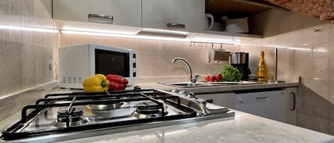 Réfrigérateur, micro-ondes, plaque de cuisson, lave-vaisselle