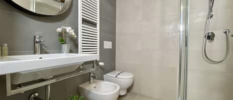 Shower, hair dryer, bidet, towels