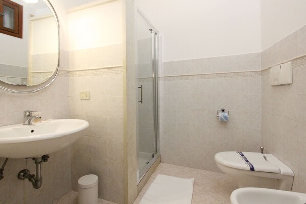 Shower, hair dryer, bidet, towels
