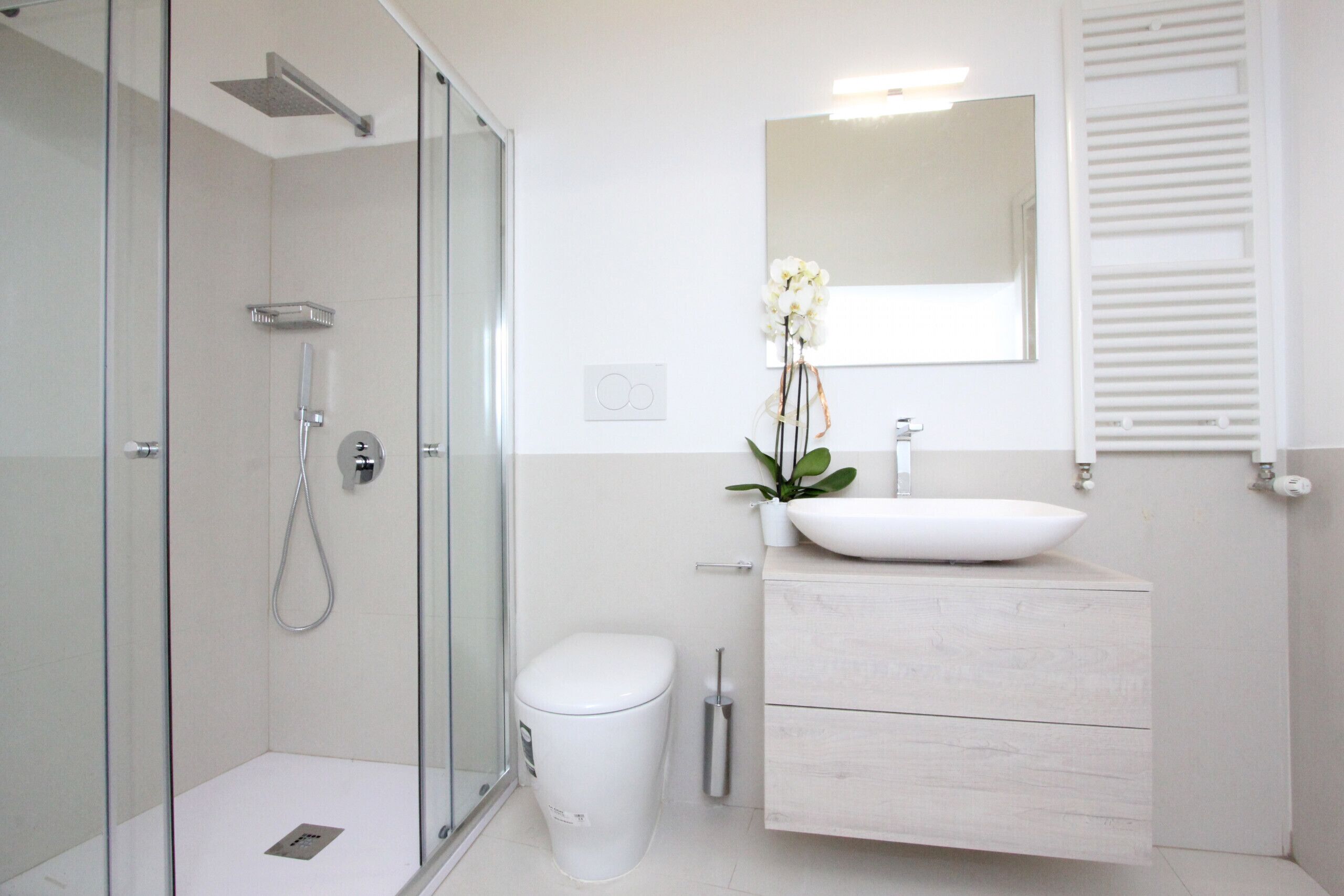 Shower, hair dryer, bidet, towels