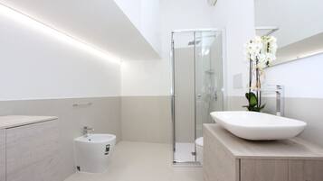 Shower, hair dryer, bidet, towels