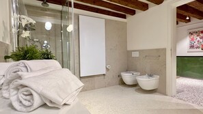 Regadera, secadora de cabello, bidet, toallas