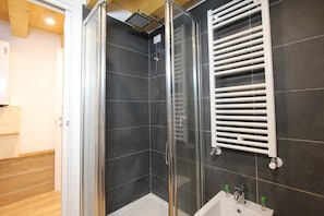 Shower, hair dryer, bidet, towels
