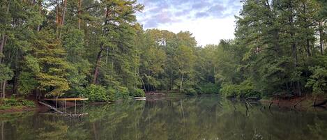 المنطقة المحيطة بالمنشأة