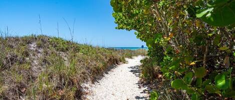 Ubicación cercana a la playa
