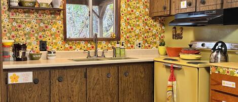 Fridge, oven, stovetop, coffee/tea maker