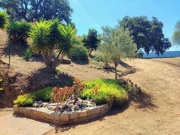 A landscaped garden with various plants, a stone border, and a view of the sea.