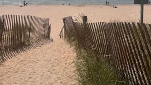 Una playa con barreras de madera y una vista despejada del mar.