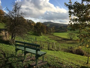 A green bench in a grassy field with a fence and trees in the background.