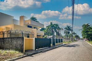 Stroll through a serene residential street lined with palm trees and homes with flat roofs.