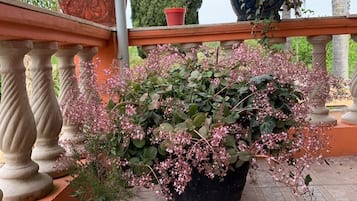 Overnattingsstedets uteområder