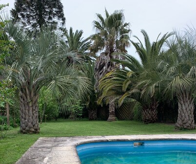 Beautiful house to spend with friends and family 