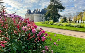 Property grounds - The Domaine de la Chambaudière is a former monastery steeped in history, nestled (Valencisse)