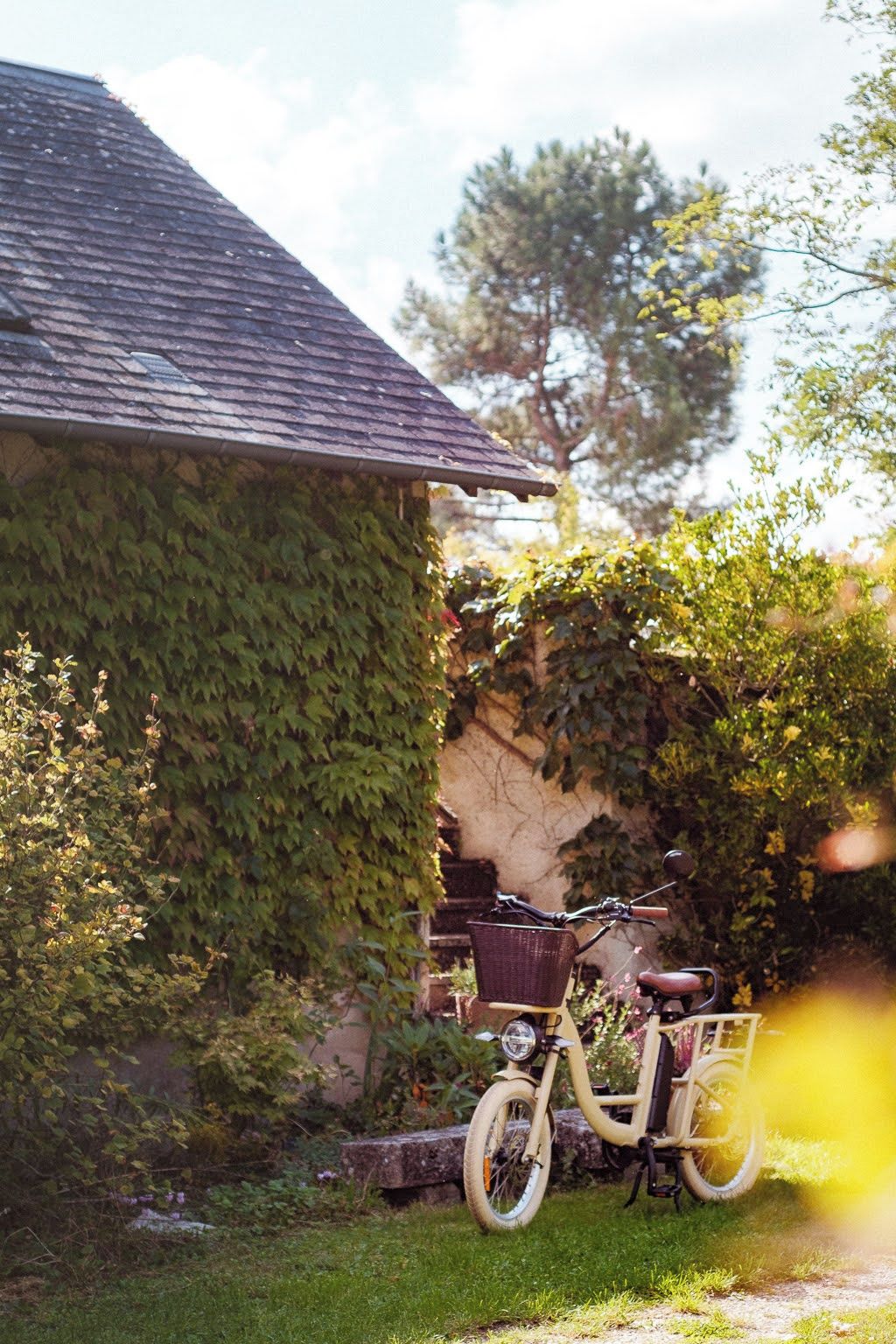 Een fiets voor een huis met een muur begroeid met klimop.