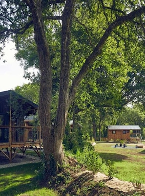A wooden cabin with a deck, surrounded by lush greenery and a large tree.