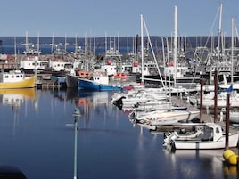 Vista desde la propiedad