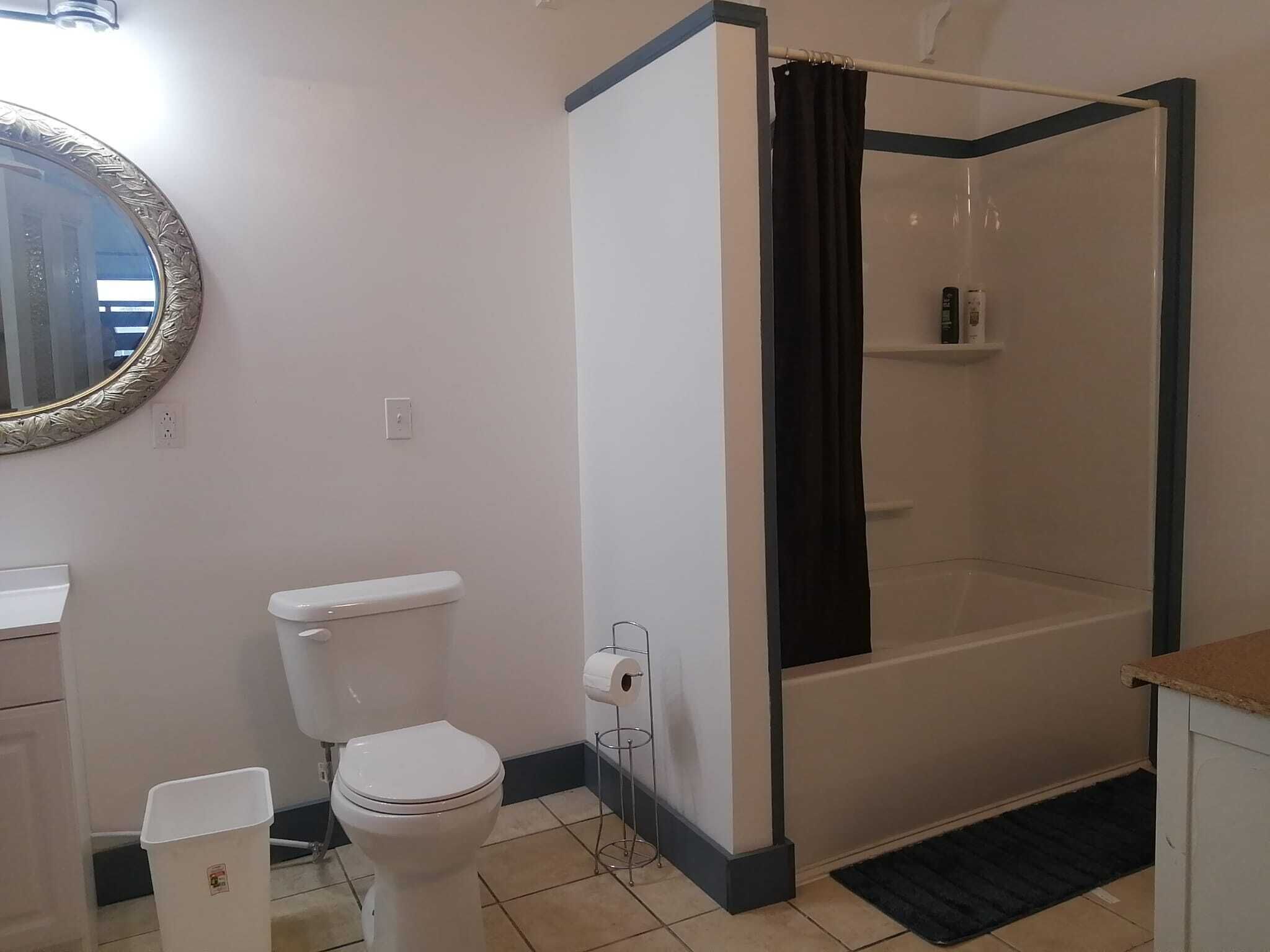 A bathroom with a toilet, a shower, and a mirror.