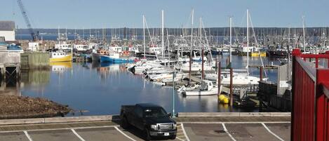 Un puerto deportivo con numerosas embarcaciones amarradas, un aparcamiento con un vehículo negro y una grúa al fondo.