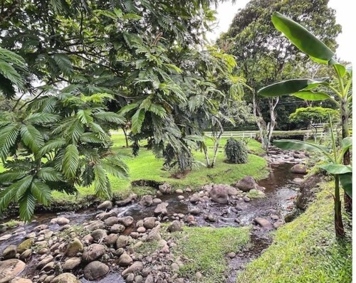 Stay Where Beauty, Comfort, Charm, and Nature Meet in the Country of Pura Vida