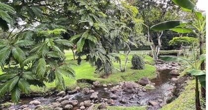 Stay Where Beauty, Comfort, Charm, and Nature Meet in the Country of Pura Vida