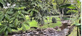 Stay Where Beauty, Comfort, Charm, and Nature Meet in the Country of Pura Vida