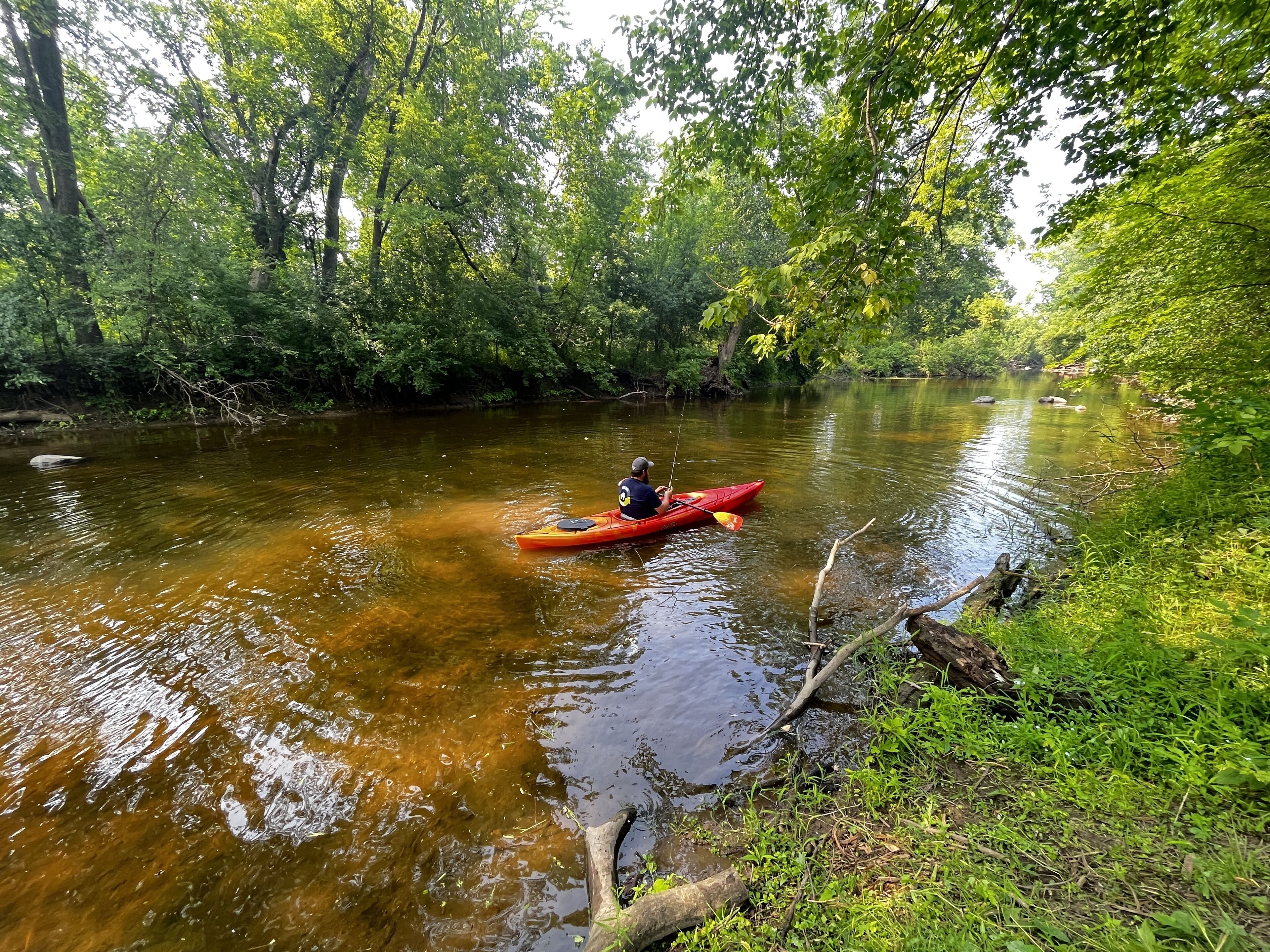 Una persona en kayak rojo en un río rodeado de densa vegetación.
