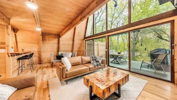 Smart-TV, Kamin