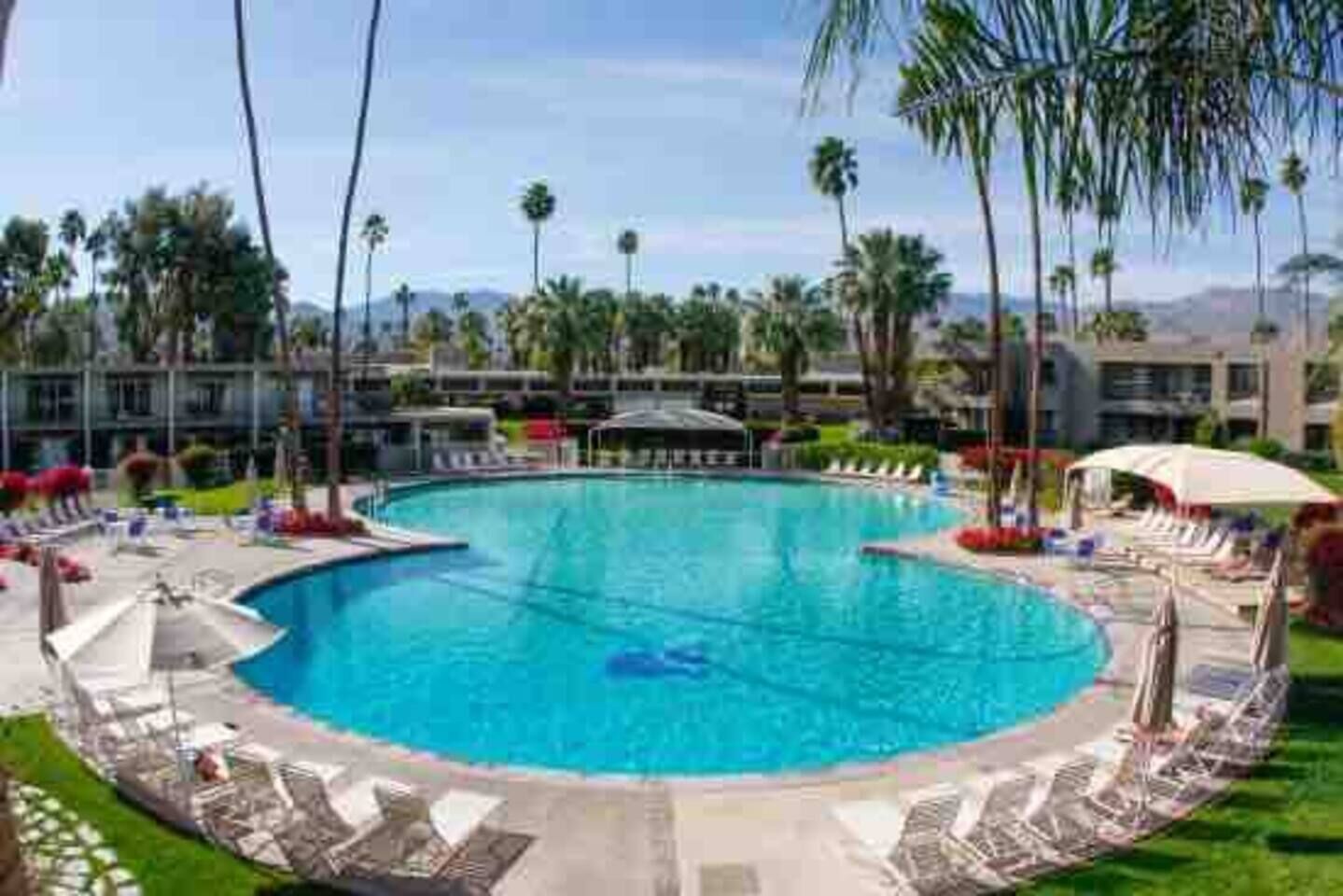 A large pool with lounge chairs and umbrellas, surrounded by palm trees and buildings.