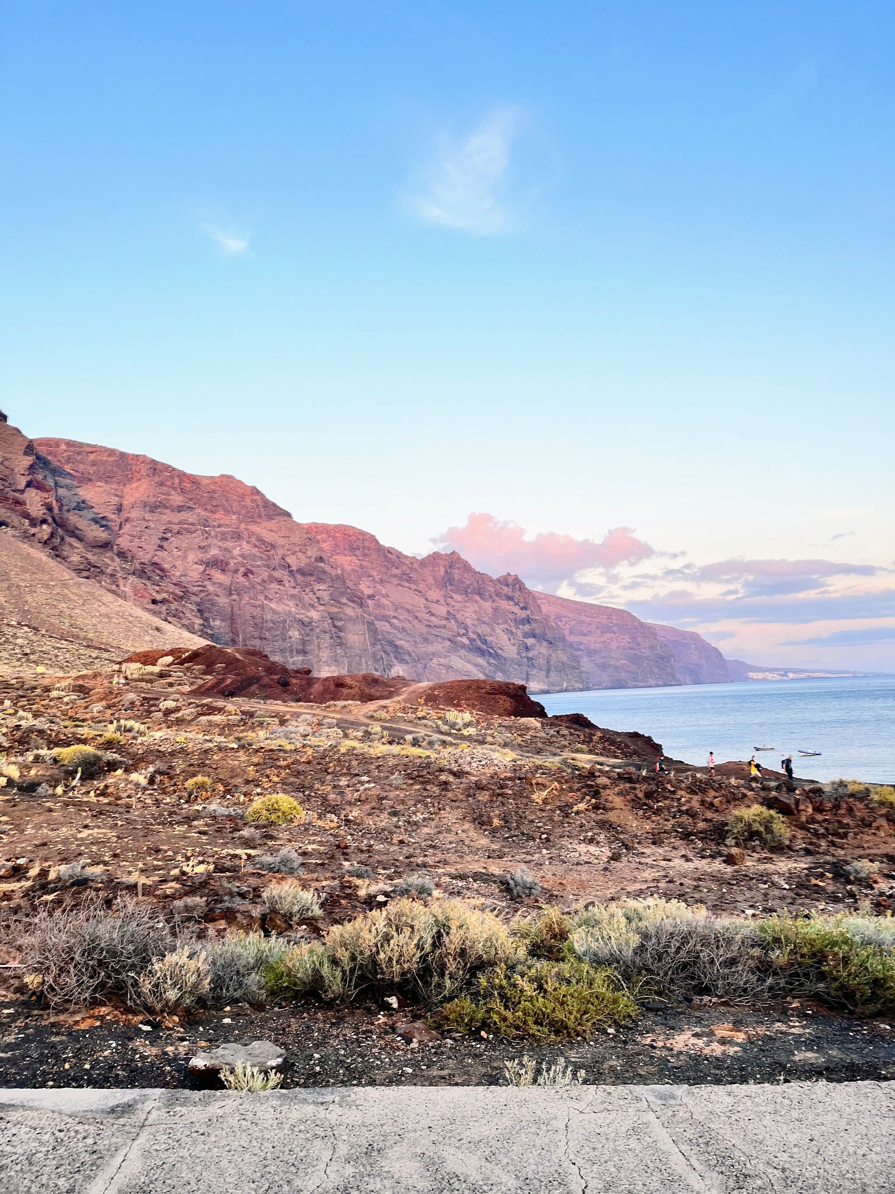 A coastal landscape with rocky terrain and sparse vegetation.