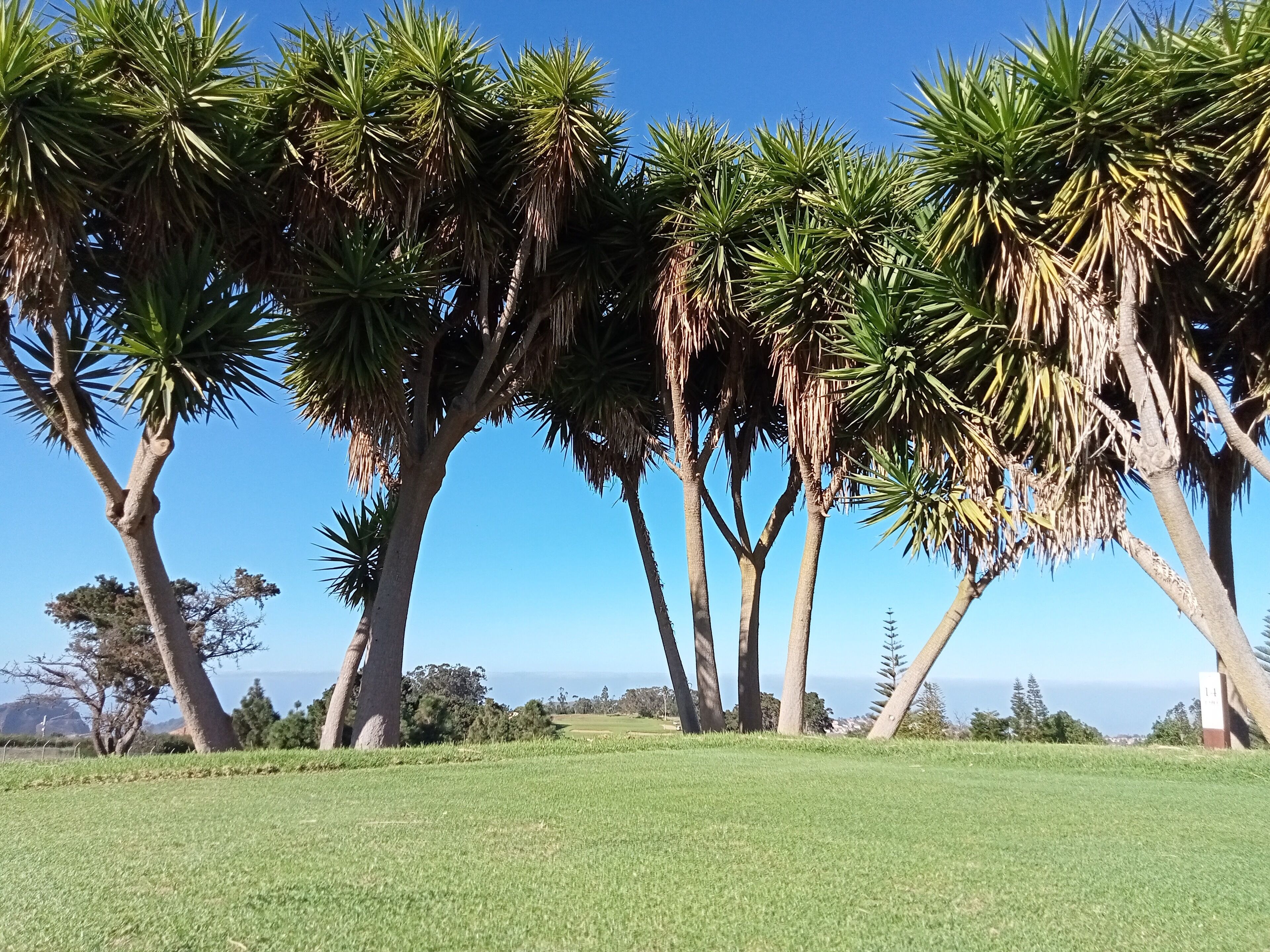 Photo - Salvia BnB, Habitaciones con Banos Privados