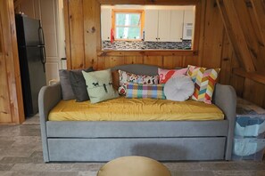 Smart TV, fireplace, books, computer monitors