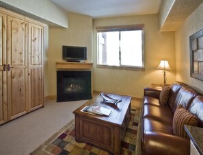 Télévision, cheminée, lecteur de DVD, espaces bureaux