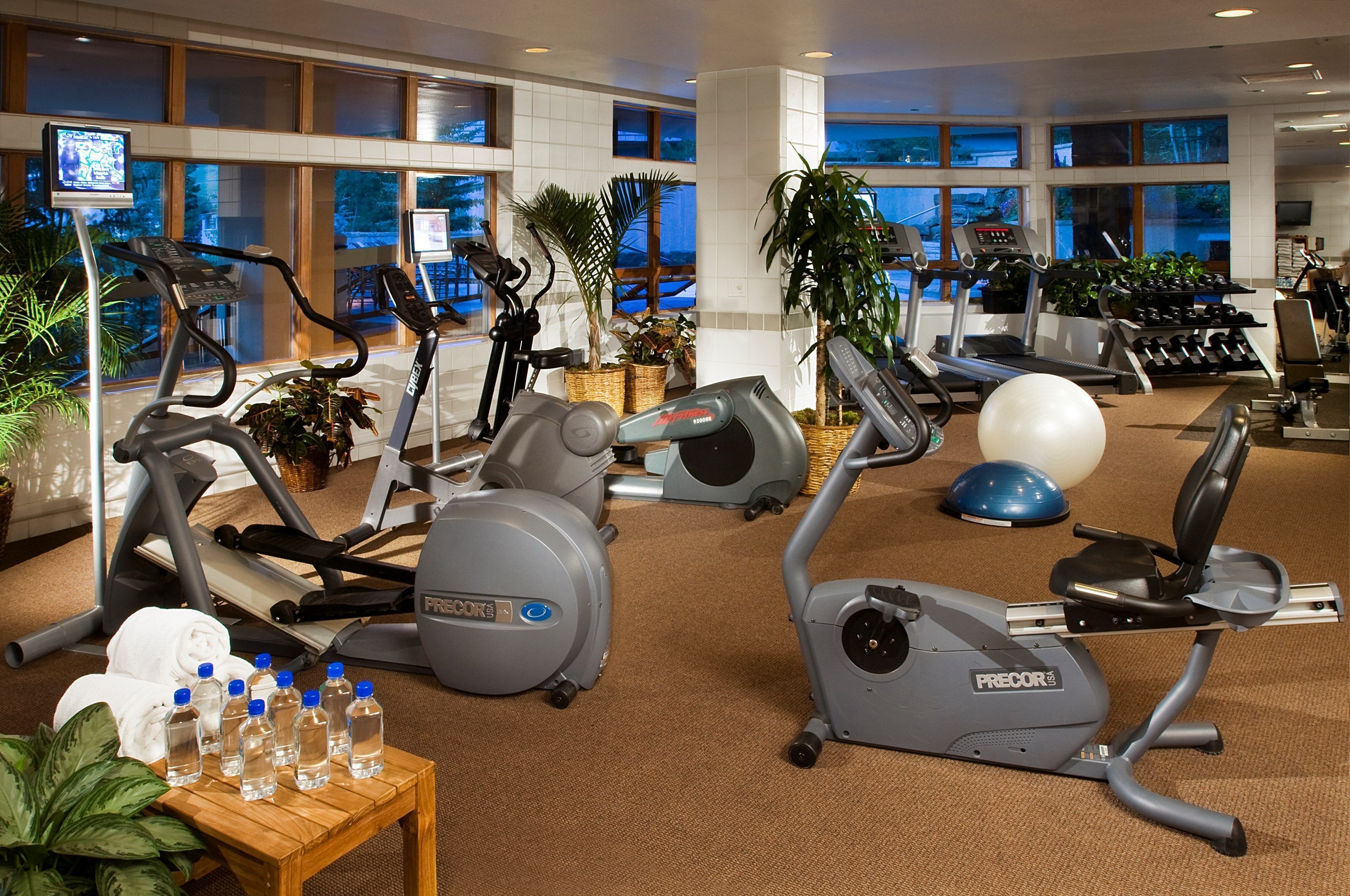 Una palestra con diverse attrezzature per esercizi, tra cui tapis roulant, cyclette e vogatore.