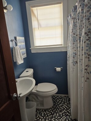 Secadora de cabello, toallas, jabón, shampoo 