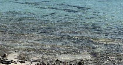 Beach Front cottage on the Best beach in Grand Bahama