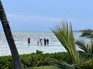 Enjoy a tranquil beachfront setting surrounded by lush greenery and the soothing sounds of the ocean.