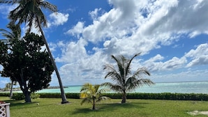 A well-maintained lawn with palm trees, a hedge, and a view of the ocean.