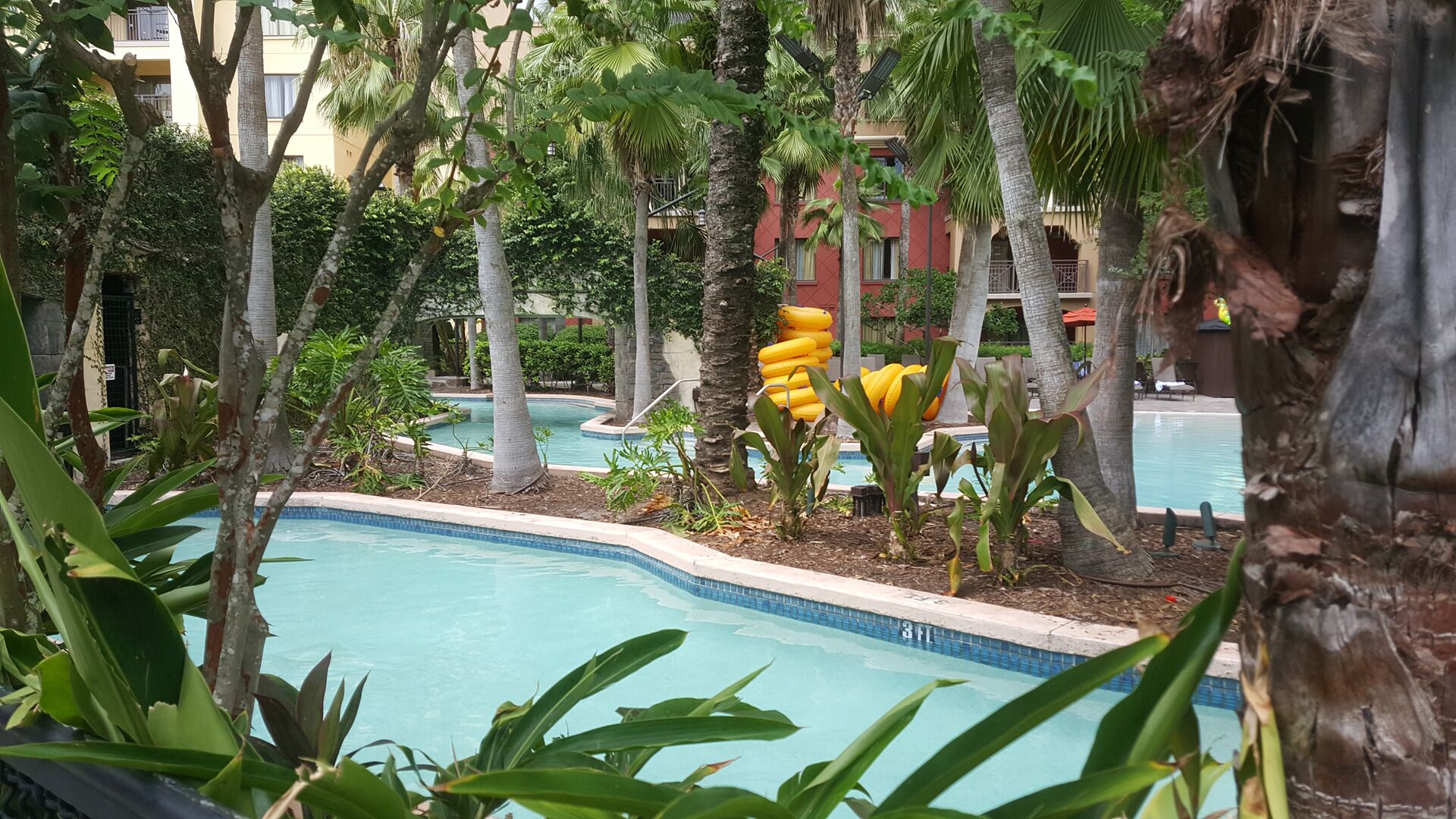 A pool area with palm trees, a small pool, and a building in the background.