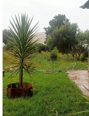 Property grounds - eManzini Guesthouse (Matibidi)