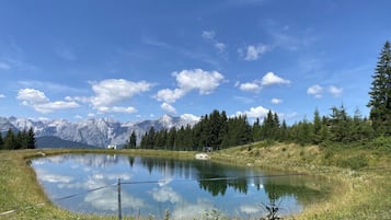 Overnatningsstedets område