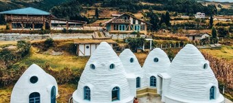 Mixed Dormitory Room