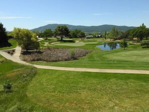Golf - Gallery on the Green- Luxurious home with amazing golf course view! (Angels Camp)