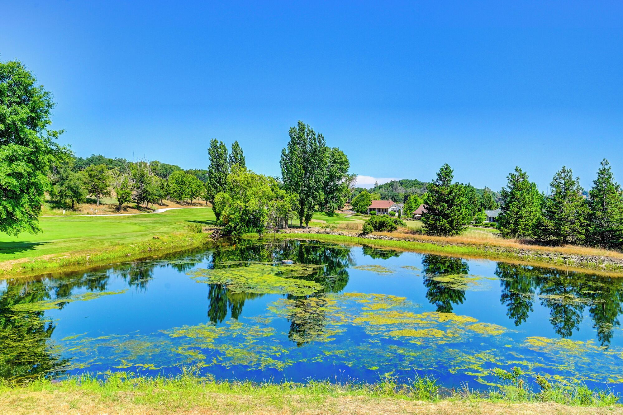 Un paisaje sereno con un estanque que refleja árboles y un campo de golf.